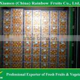 Fresh Navel Orange thumbnail-4