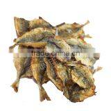 Travelly Fish thumbnail-1