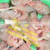 Fish Slicer / Electric Fish Meat Cutting Machine thumbnail-6