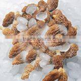 Wild Hot Sale Morehella Esculenta thumbnail-4