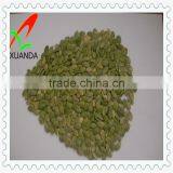 Orgainc Pumpkin Seeds for Roasting thumbnail-1