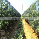 HDPE Agriculture Vineyard Plastic Apple Tree Anti Hail Net for Plantations thumbnail-2