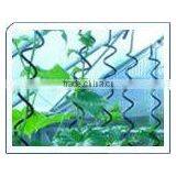 Tomato Spirals thumbnail-1