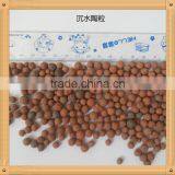 Growing Media Hydroponic Expanded Clay Aggregate/LECA Pebbles Pellets thumbnail-3