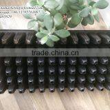 9CM Deep 72 Cells High Quality Black PS Plastic Nursery Seed Growing Tray for Forest Seedling Propagation thumbnail-5