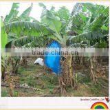 PE Plastic Banana Protection Bag Banana Cover thumbnail-1