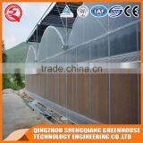 China Aluminum Profile Tunnel Greenhouse Agriculture for Vegetable thumbnail-3