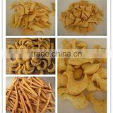 Crispy Fried Salad/ Rice Snack Food Processing Line in Chenyang Machinery thumbnail-1