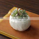 New Design Oval Stone Grain Ceramic Product Small White Flower Pot thumbnail-3