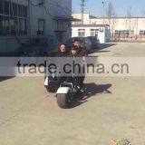 2017 Mini Citycoco 18*9.5 Inch 3 Pneumatic Wheels Electric City Scooter City Coco Motor Cycle With 3 Seats thumbnail-6