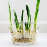 Crystal Vases Flower Arrangements thumbnail-1