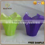 Fancy Plastic Flower Pots and Decorative Plant Pot Covers thumbnail-4