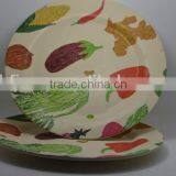 Hot-sell Eco Bamboo Fiber Big Reusable Plate(BC-P1003) thumbnail-2