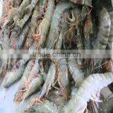 Frozen Bbq Shrimp thumbnail-1