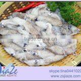 Zhoushan Seafood Suppliers Frozen Baby Squid thumbnail-4