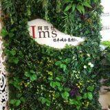 Artificial Plant Wall thumbnail-5