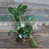 Christmas Mistletoe thumbnail-1
