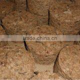 Gerbera Disks thumbnail-1