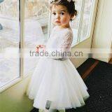 Floor-Length Light Lvory Flower Girl Dress Tulle Lace Fabric Baby Party Dress Gown thumbnail-1