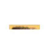 Wooden Guard Rail thumbnail-1