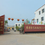 Shandongdelishipinjixie company overview - view 2 thumbnail