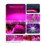 Amazon HOT 45W Full Spectrum High Intensity Blue Red Light Square Panel Homemade Led Plant Grow Lights Suitable for Vegs Fruits thumbnail-5