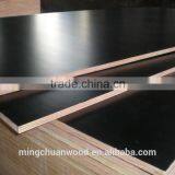 Brown Film Faced Plywood,black Film Faced Plywood Phenolic Glue,birch Core Plywood,wbp Glue thumbnail-4