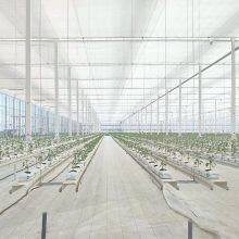 Hot Selling Top Quality Good Prices Transparent Energy Saving Screen for Greenhouse thumbnail-5