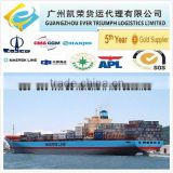 Sea Container DDP/DDU Shipping from China to Le Havre France