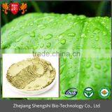 China Supply Lotus Leaf P.E., Weight Loss Product Lotus Leaf Extract Powder thumbnail-3