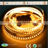 Best candlelight 5050 CRI>90 ip65 12v rgb led strip for mufue factory