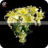 Hot Festival Products Latest Types Flashing Light Dew Drop Christmas Light thumbnail-6