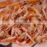 DRIED SHRIMP SHELL CHEAP PRICE