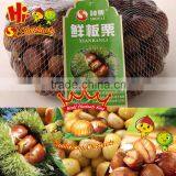 Best Chinese Chestnuts for Sale--Organic Kuancheng Chestnuts thumbnail-4