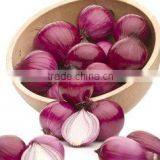 Onion Importers in Quatar/onion Importers in Malaysia/fresh Onion thumbnail-5