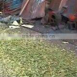 MIni Portable Rice Straw Hay Shredder Machine