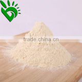 Onion extract factory powder