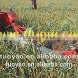 Hot Cheap Selling Potato Harvesting Machine0086-15981860197 thumbnail-4