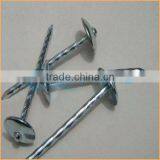 Top Quality Umbrella Roofing Nail for Construction Trusted Chuanghe Suppliers From Com thumbnail-4