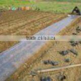 Clear Agriculture Mulch Films thumbnail-2