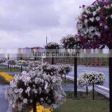 New Garden Ball Shaped Decorative Planters Pots SL-Y060-5 Plastic Planter thumbnail-1