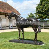 Outdoor Handicraft Life Size Horse Bronze Statue for Garden Decoration thumbnail-2