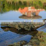 Wholesale Outdoor Garden Decoration Promotion Life Size Crocodile Fiberglass Animals for Sale thumbnail-3