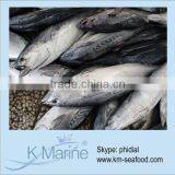 2015 New Product Sea Frozen Bonito Fish Lot Number#kmw4349 thumbnail-1