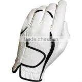 Golf Gloves thumbnail-1