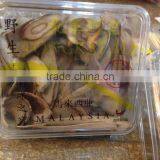 Wild Tongkat Ali thumbnail-5