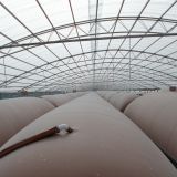 SGS approved biogas balloon for anaerobic digester