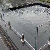 Modern Design Frameless Glass Railing Spigot for Pool Fence thumbnail-4