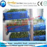 New Arrival Model Hydroponic Seeds Germinate Machine/green Fodder Making Barley Breeding Room/grass Bud Seedling Machine thumbnail-4