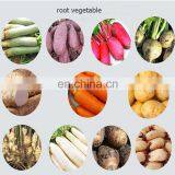 Machine for Removing Ginger Skin Potato Brush Washer Commercial Carrot Potato Peeler Machine thumbnail-4